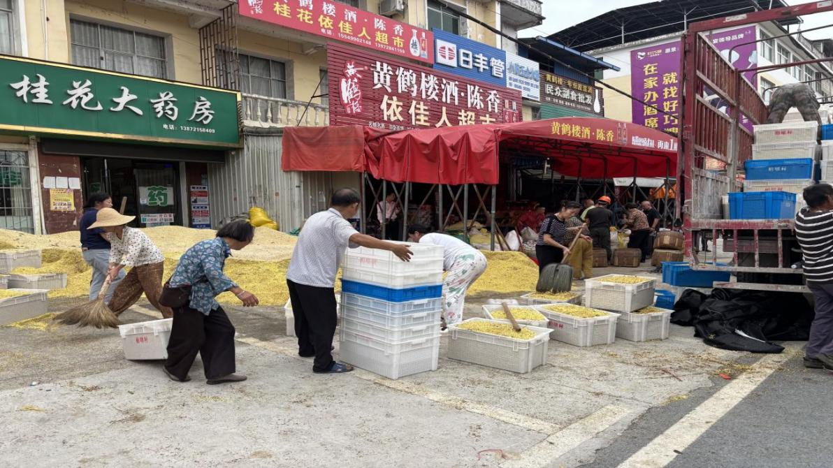 金秋咸寧桂花香 “鏈”起產(chǎn)業(yè)新篇章1.png